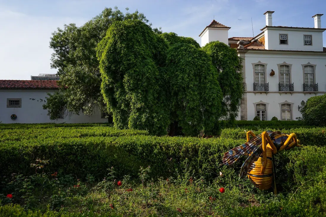 Museu de Lisboa — Palácio Pimenta, Lissabon