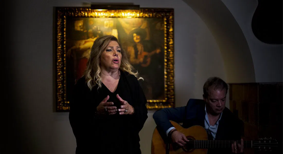 O Faia, Lisbon